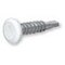 Plate Protector 6x29 blanc